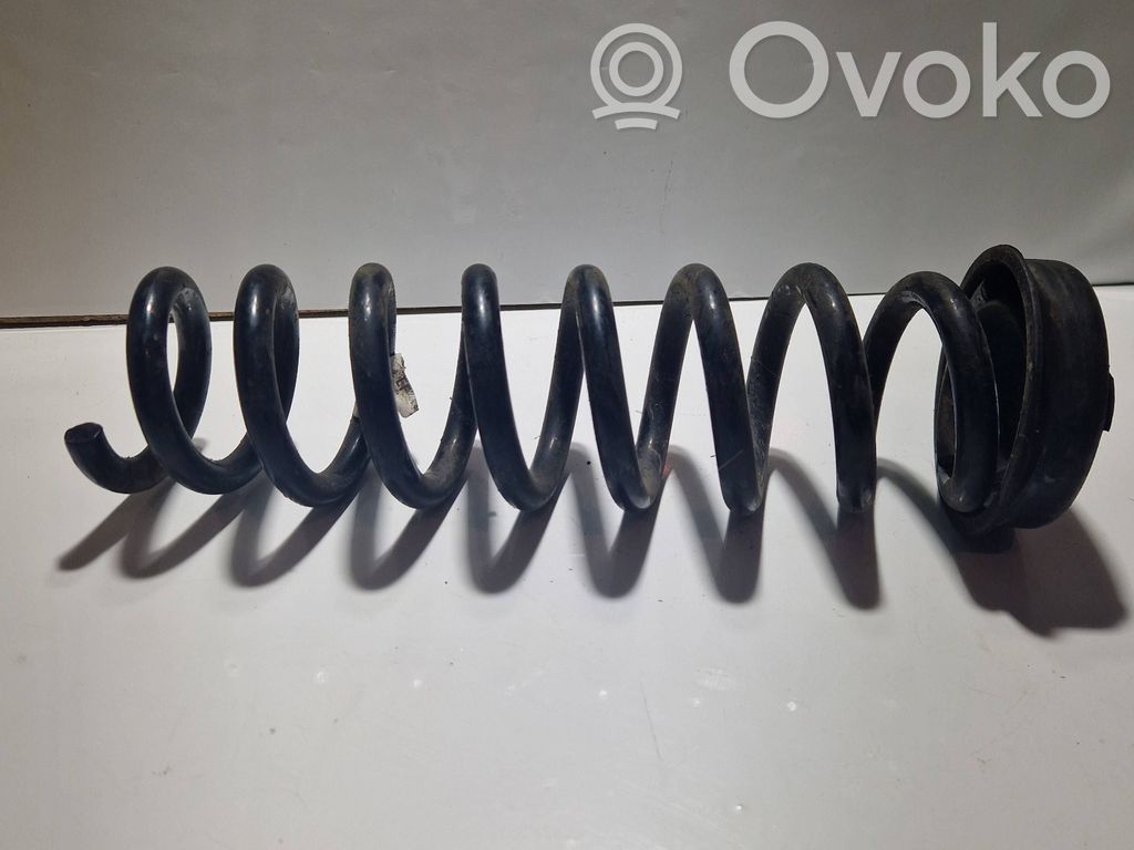 Rear coil spring   33536764419