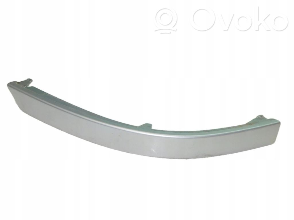 Rear/tail light trim molding