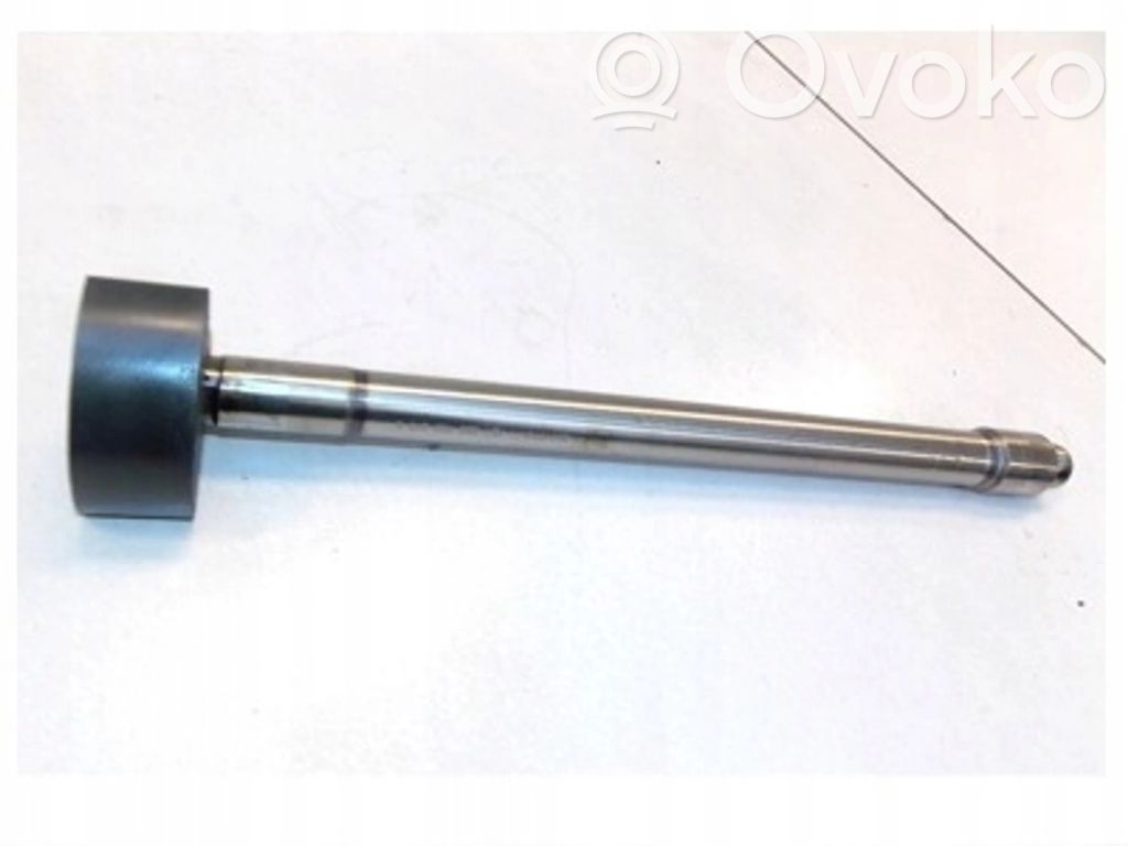 Volkswagen Phaeton Balance shaft 
