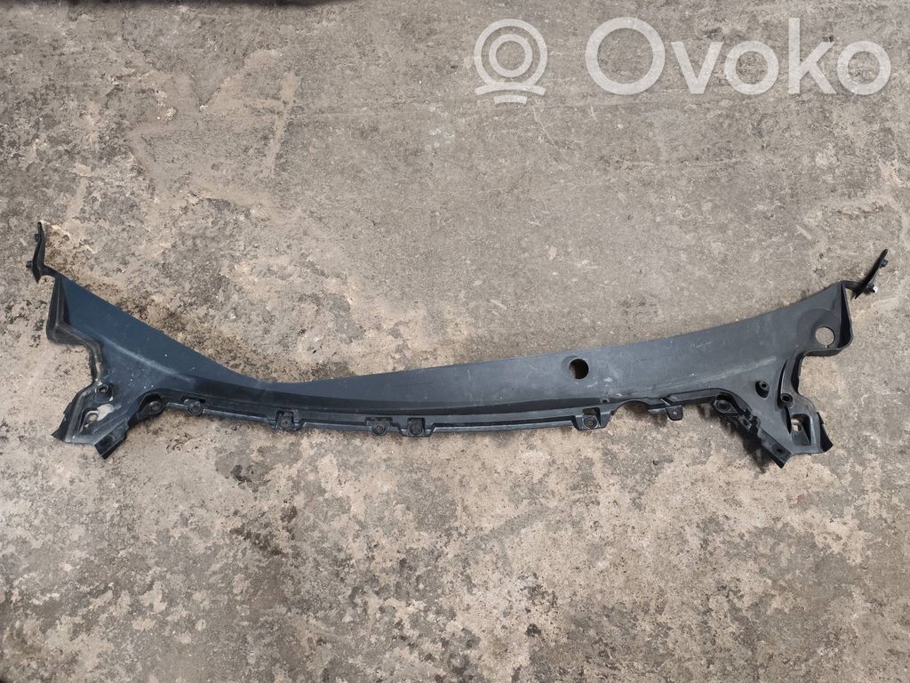 Tesla Model 3 Valytuvų apdaila (-os) 