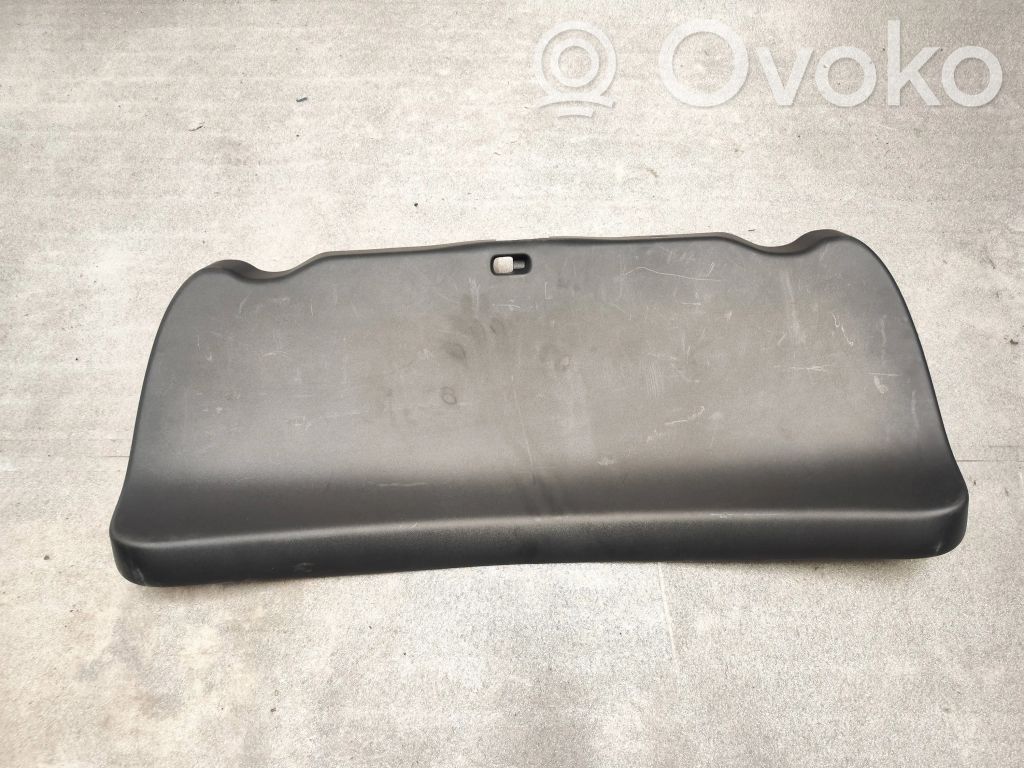 Tesla Model 3 Moldura de la puerta trasera 