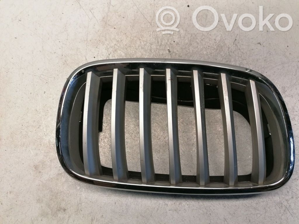 Front grill   7171396