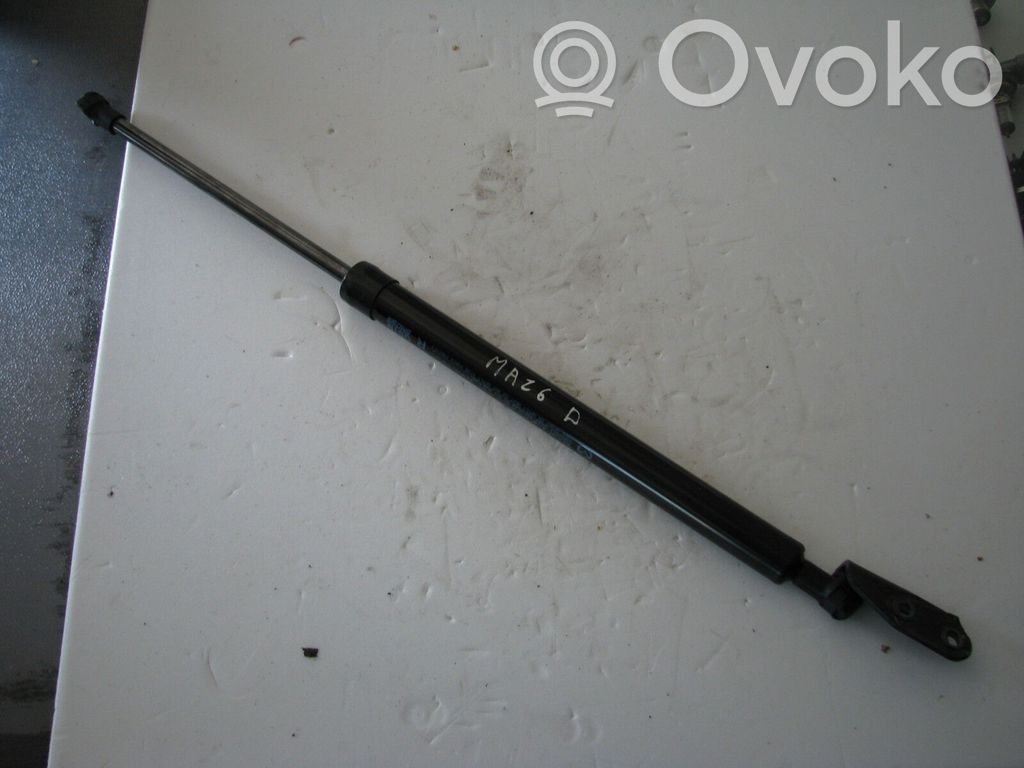 Tailgate/trunk strut/damper   GS1M