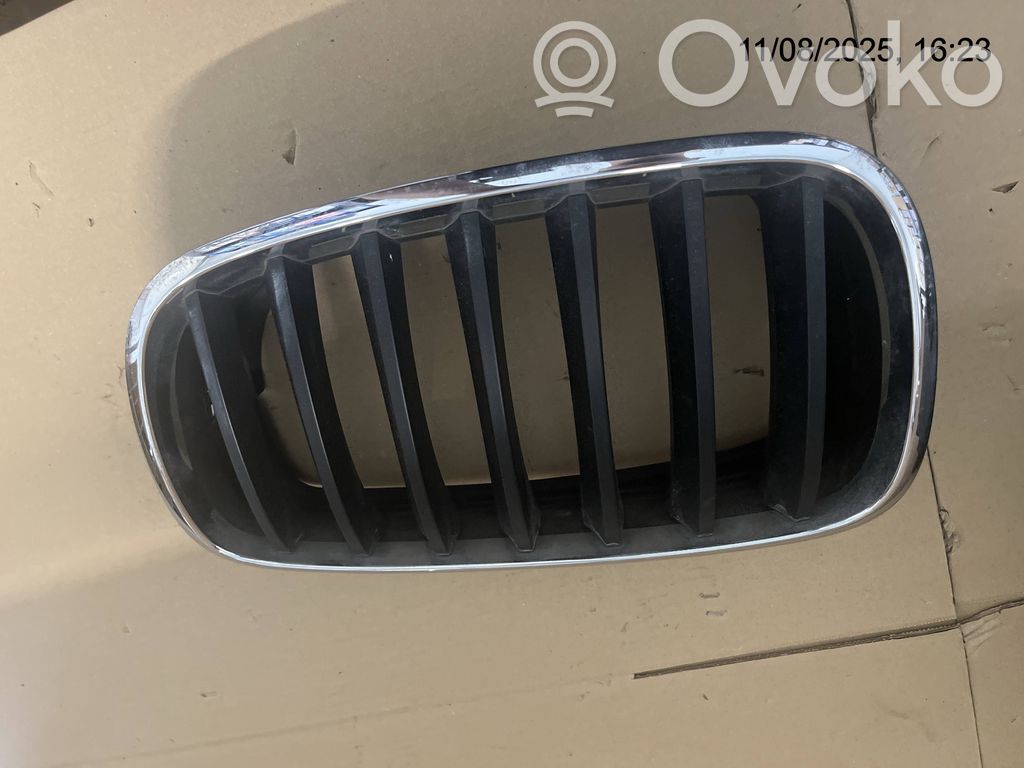 BMW X5 E70 Front grill 