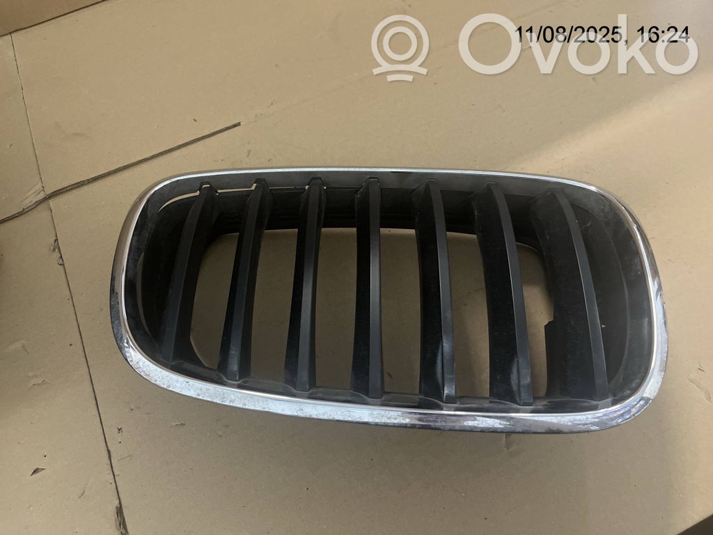 BMW X5 E70 Front bumper upper radiator grill 