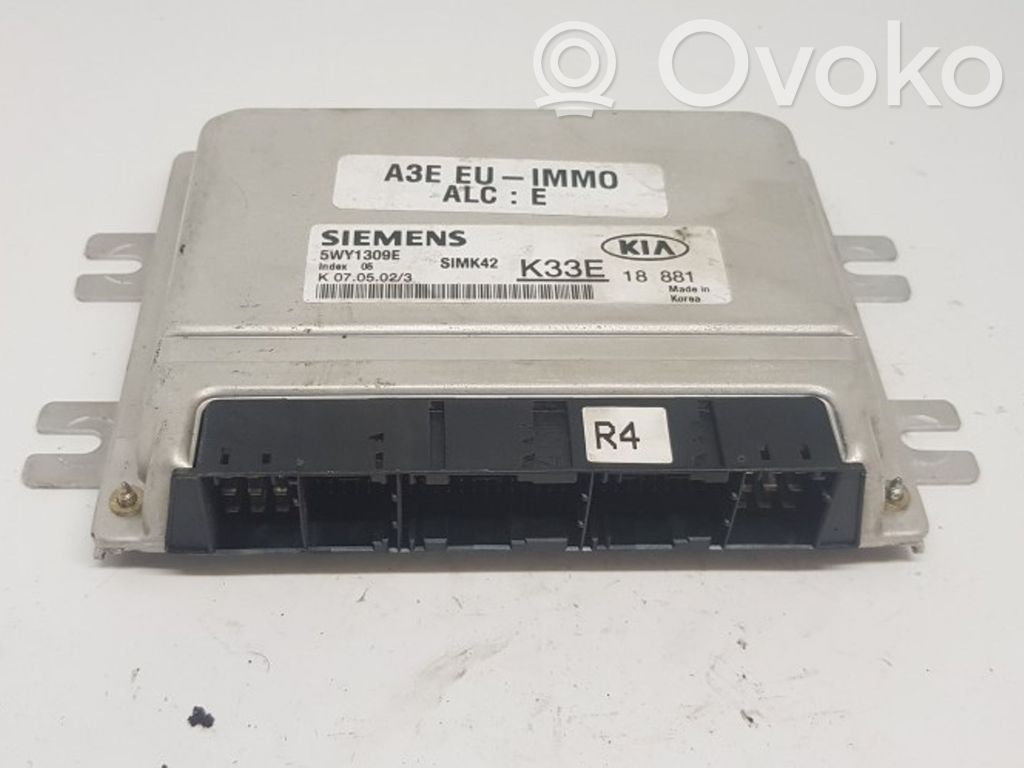 KIA Rio Engine control unit/module 