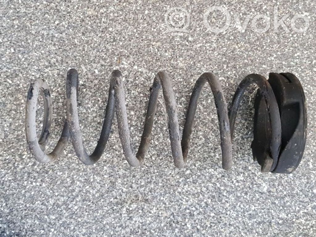 Muelle espiral trasero