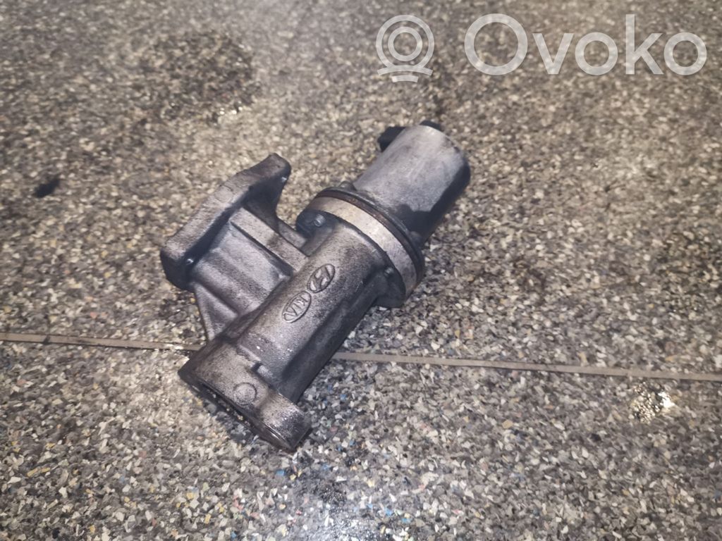 Hyundai Santa Fe Válvula EGR 