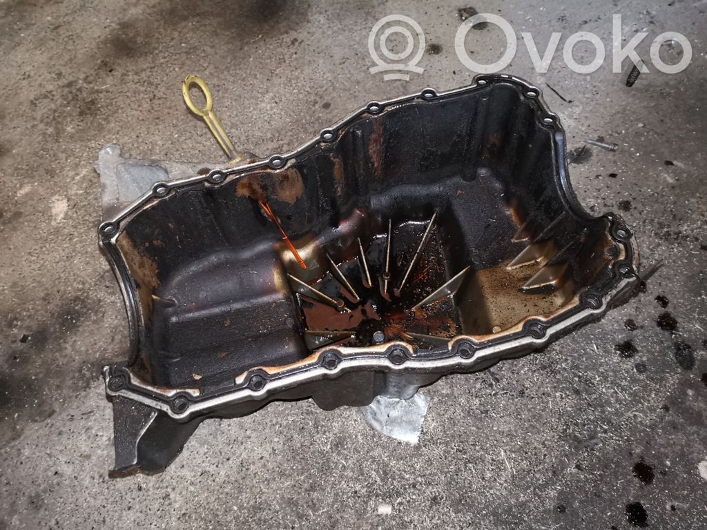Renault Scenic I Karteris 