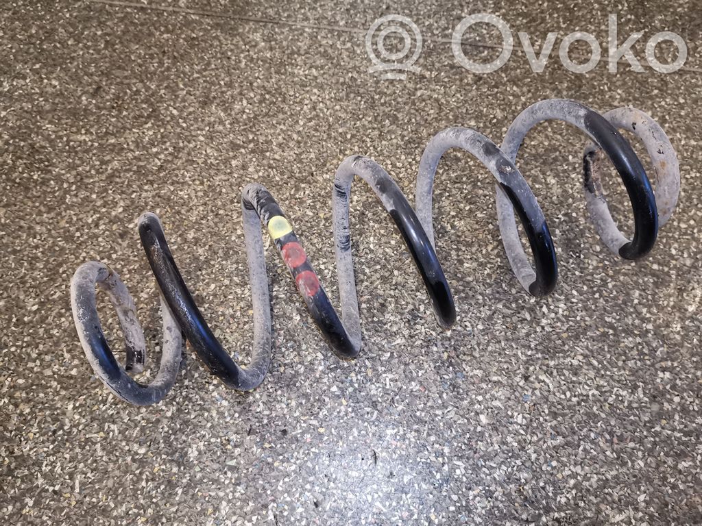 Rear coil spring