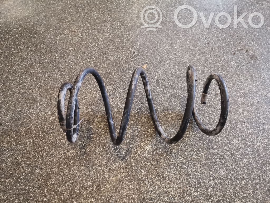 Front coil spring