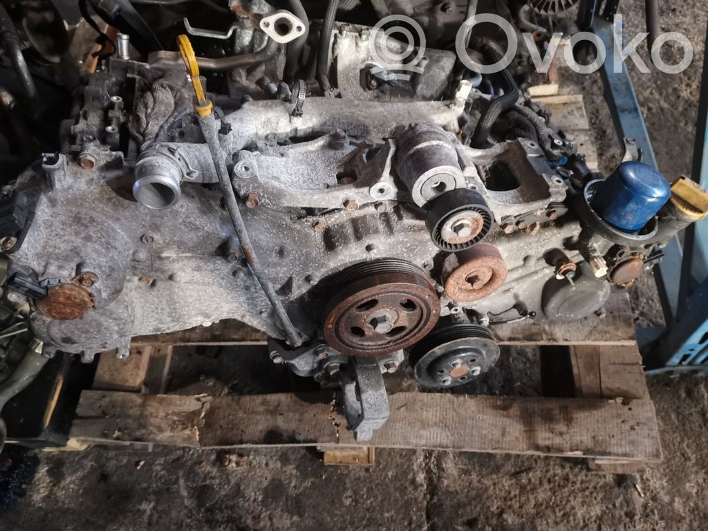 Engine   FB25