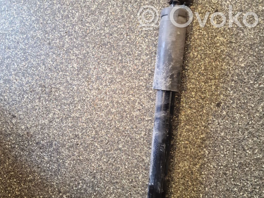 Rear shock absorber/damper