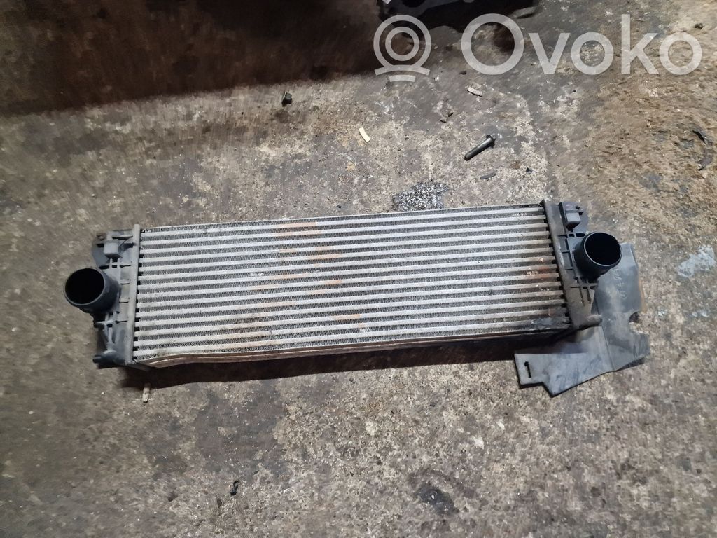 Volkswagen Crafter Interkūlerio radiatorius 