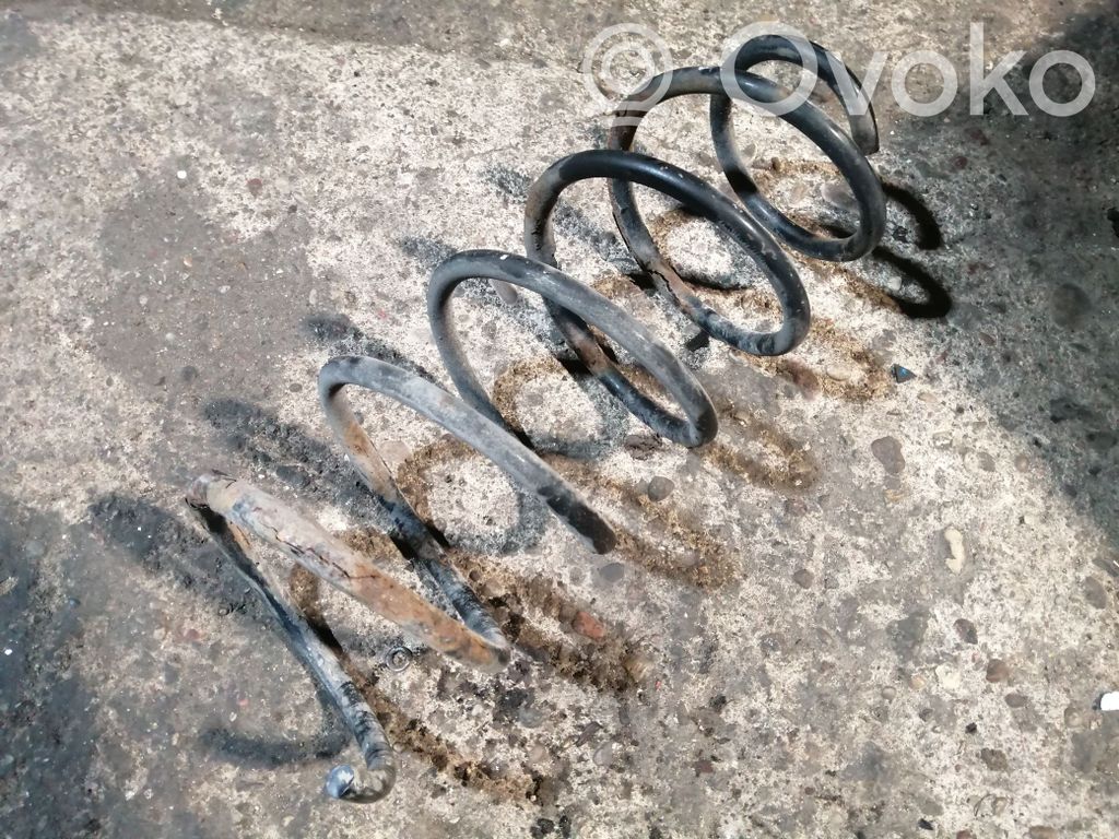 Front coil spring