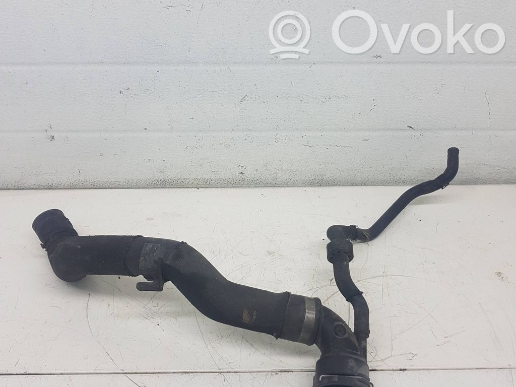 Volkswagen Phaeton Engine coolant pipe/hose 