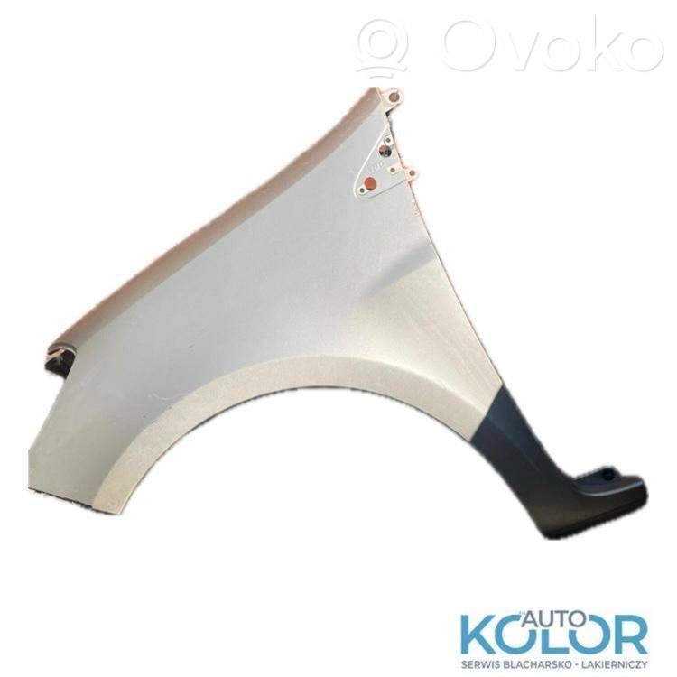Guardabarro   8200256117