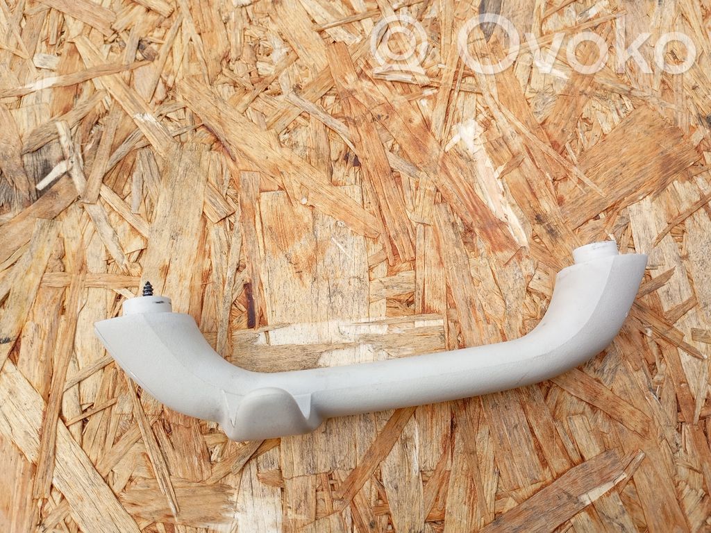 Asidero interior trasero   100013036