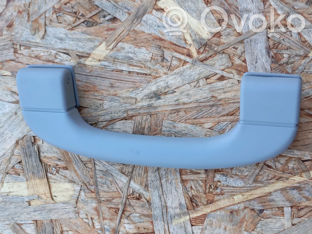 Asidero interior delantero   9143516,9143524