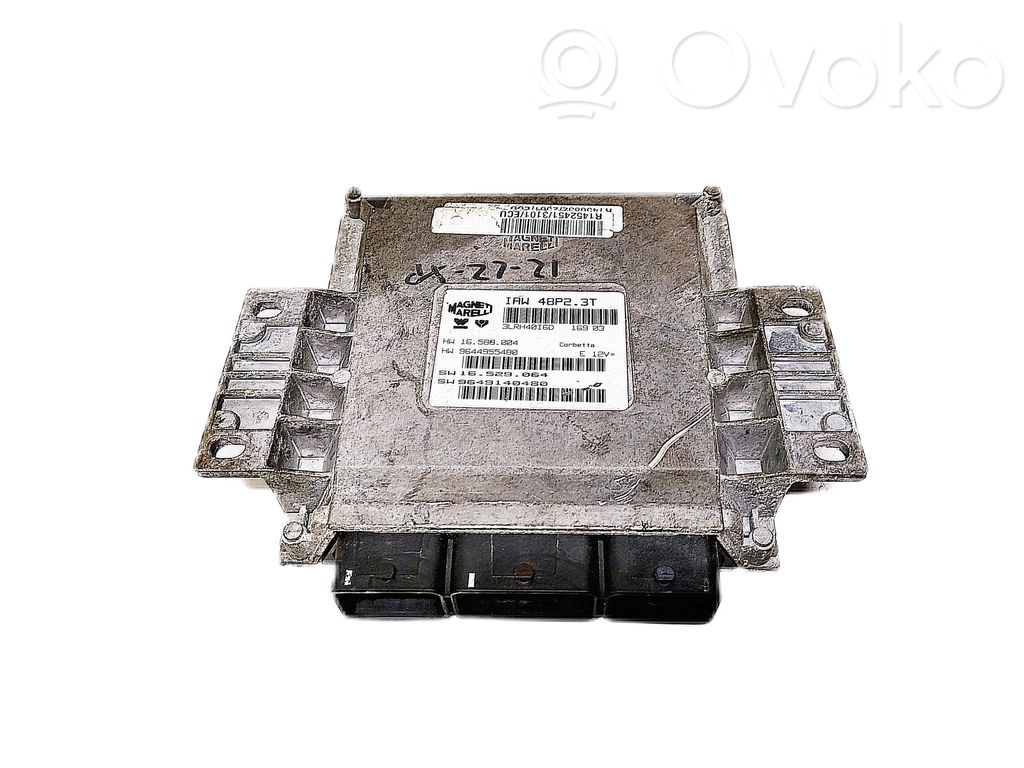 Peugeot 206 Engine control unit/module 