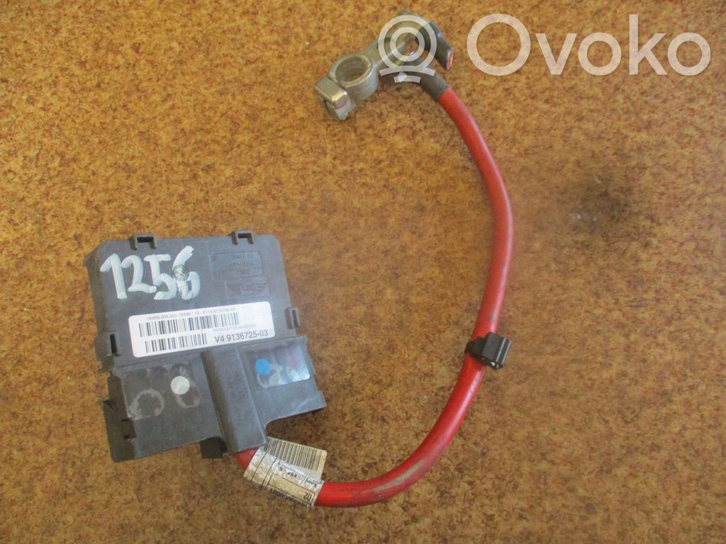 Pluskaapeli (akku)   9136725