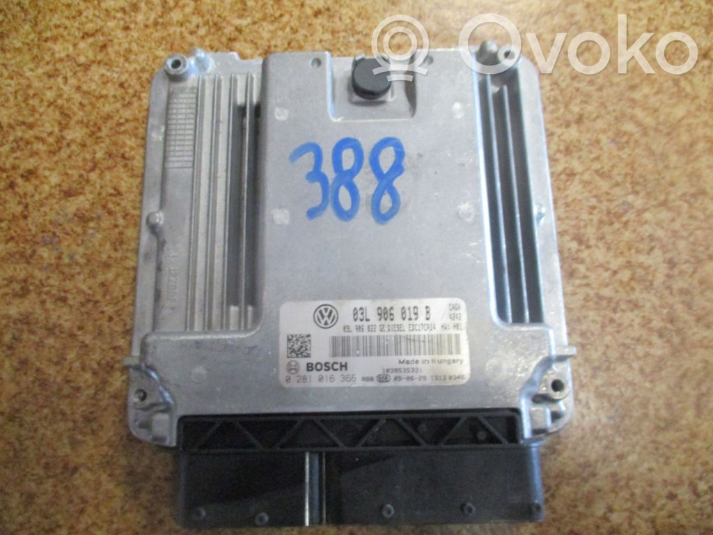 Unidad de control/módulo del motor   03L906019B,0281016366,03L906019BEXEO20