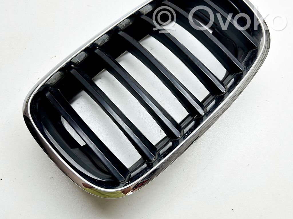 BMW X5 E70 Front bumper upper radiator grill 