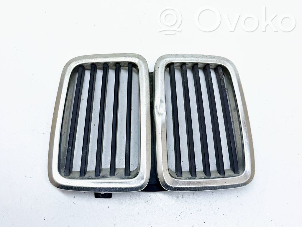 Front grill   1873253
