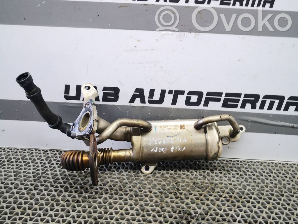 Renault Megane IV Chłodnica spalin EGR 