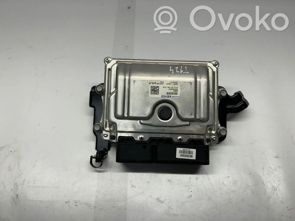 Engine control unit/module   397501XCE4,397511XCE4