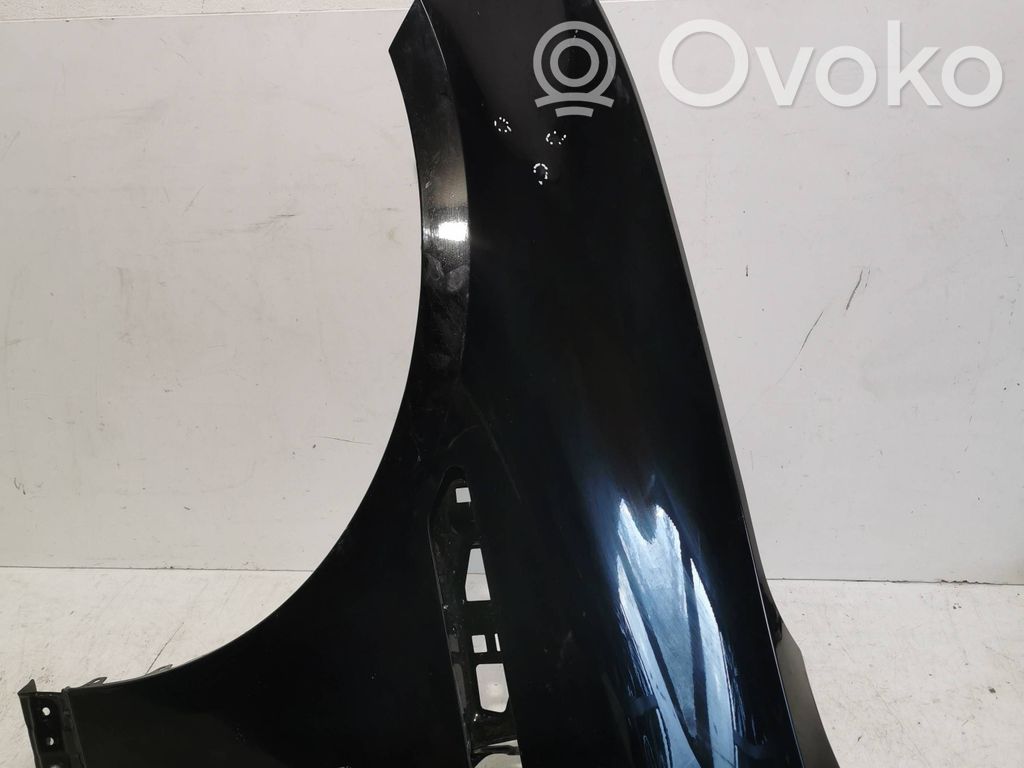 Polestar 2 Guardabarro 