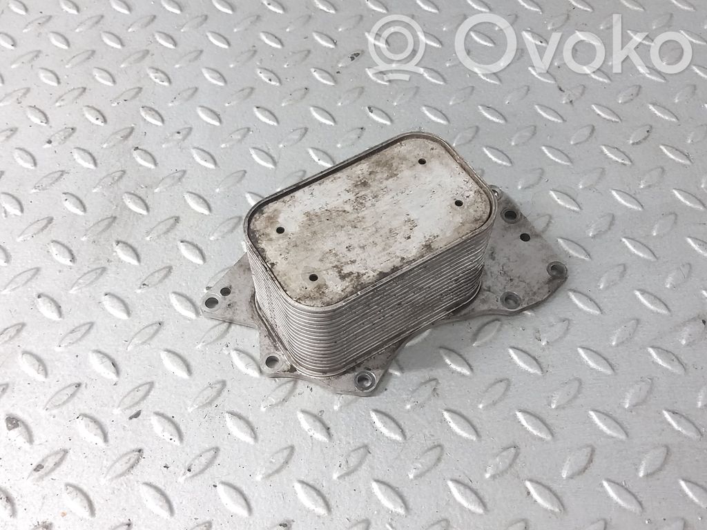 Volkswagen Phaeton Engine oil radiator 