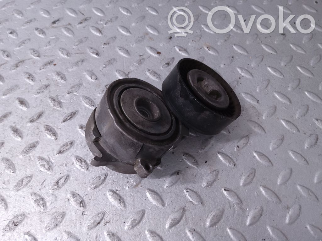 Napinacz paska wielorowkowego / Alternatora   06E903133T,06E903133AG