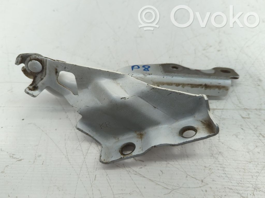 Engine bonnet/hood hinges   B45AR
