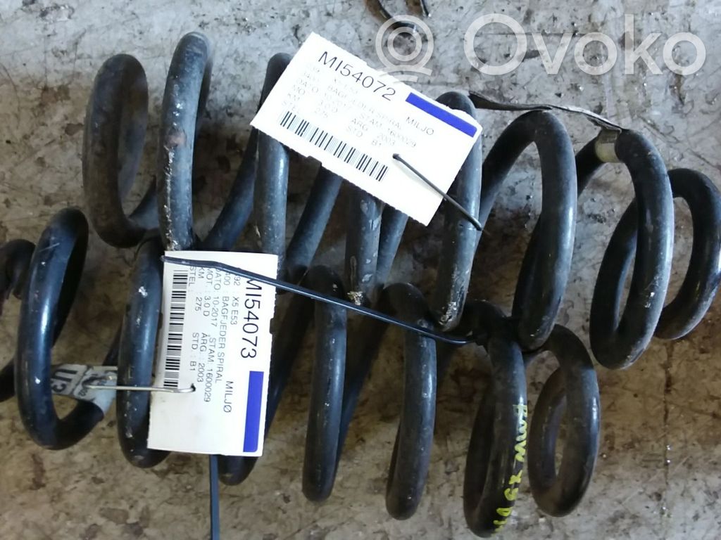 Rear coil spring