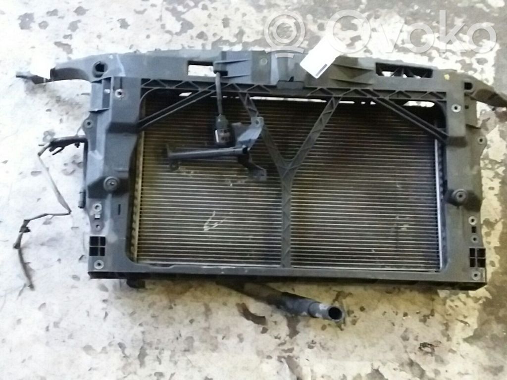 Radiatoru panelis   BP4K53110J8H