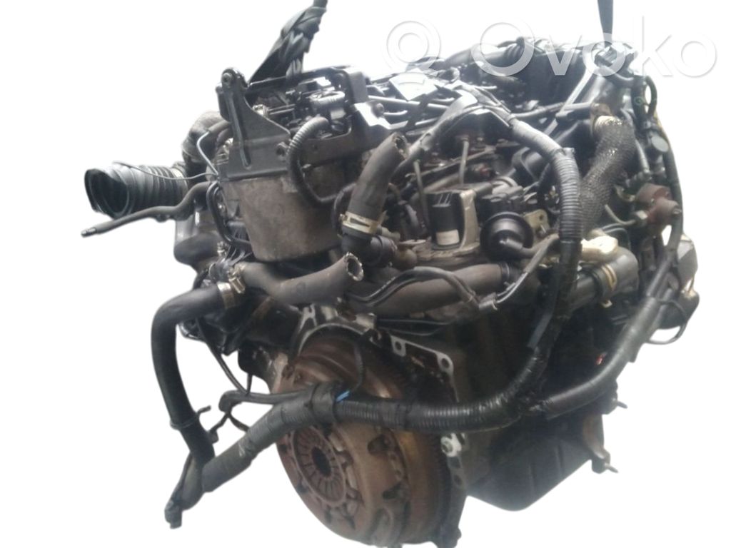 Ford Fiesta Engine 