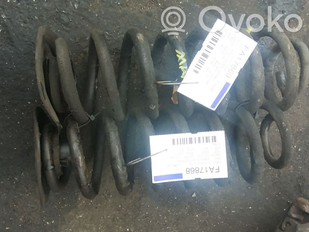 Rear coil spring