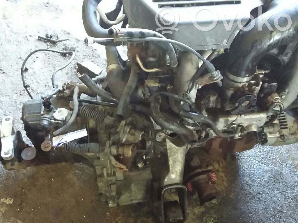 Motor