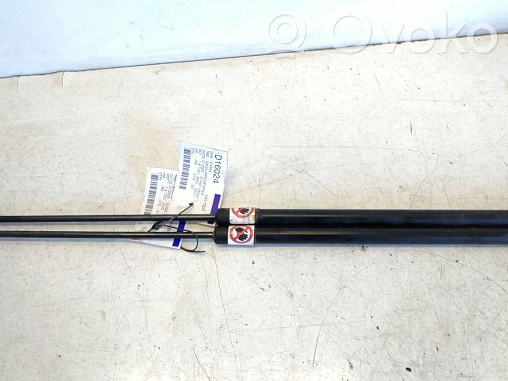 Tailgate/trunk strut/damper   1803164