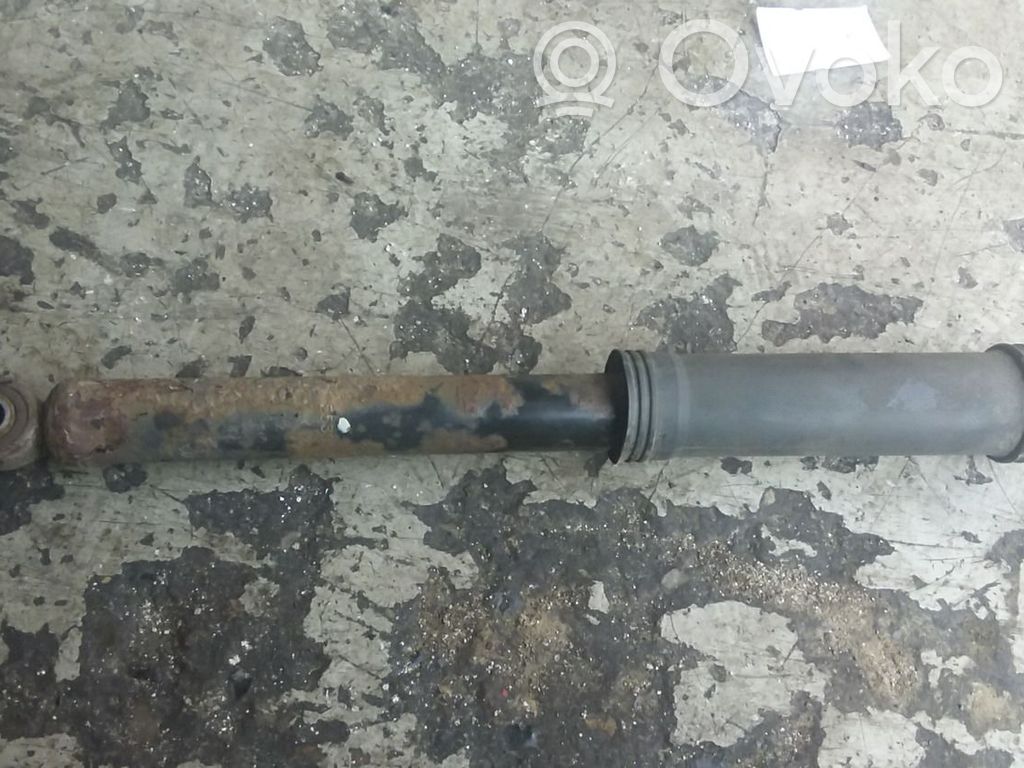 Hyundai Santa Fe Amortizor spate 