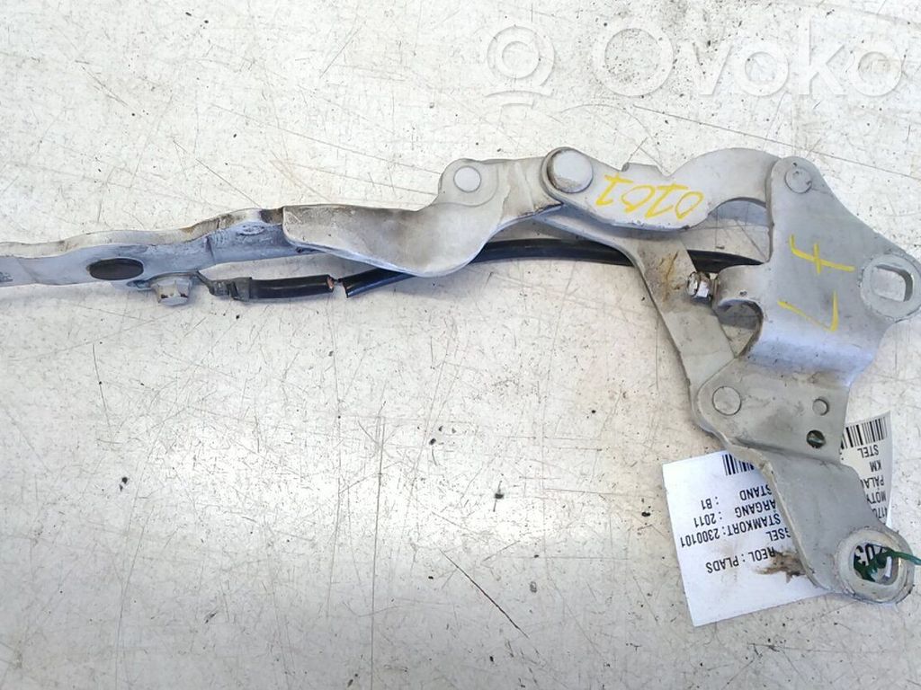 Charnière, capot moteur   41617325869