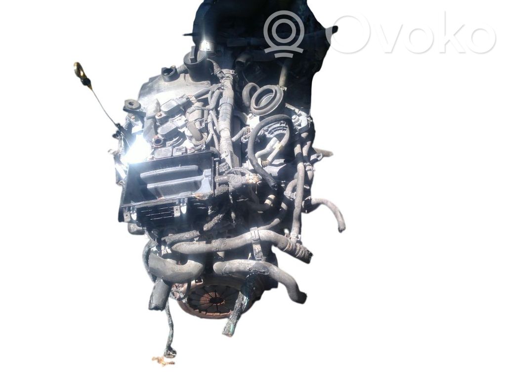 Motor