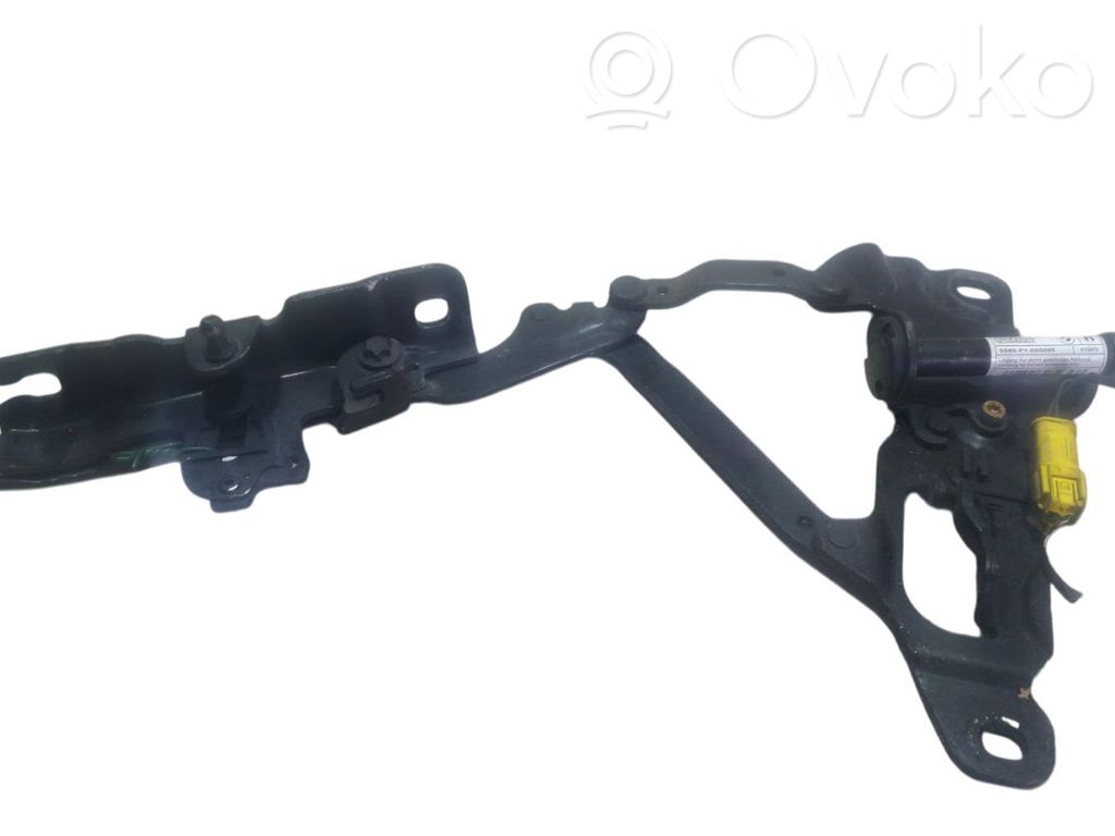 BMW 5 F10 F11 Balamale capotă 