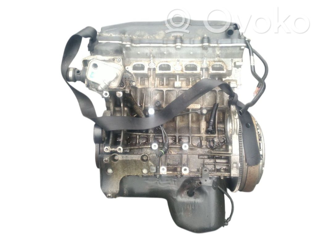 Variklis   11000430932