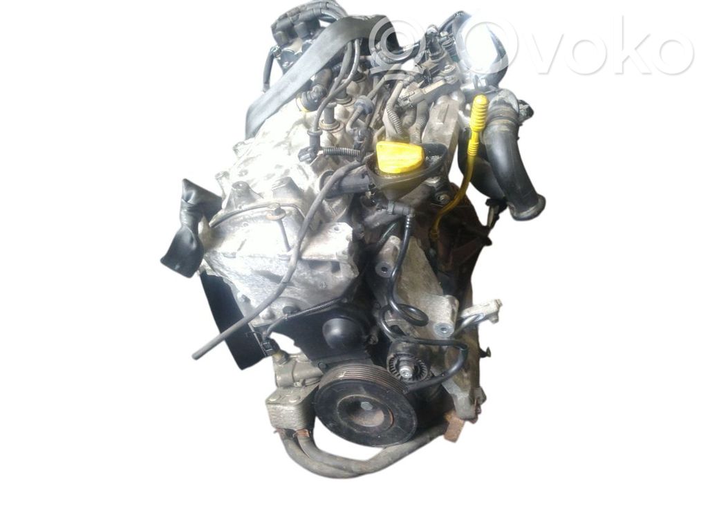 Motor