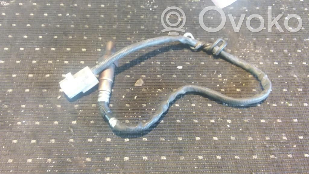 Lambda probe sensor   0258010079