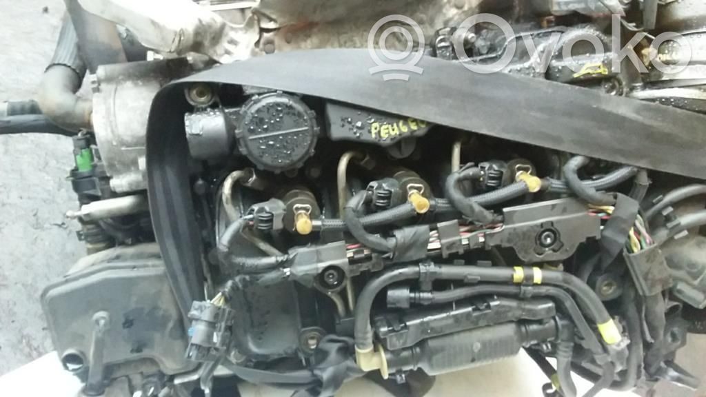 Motor   0135QF