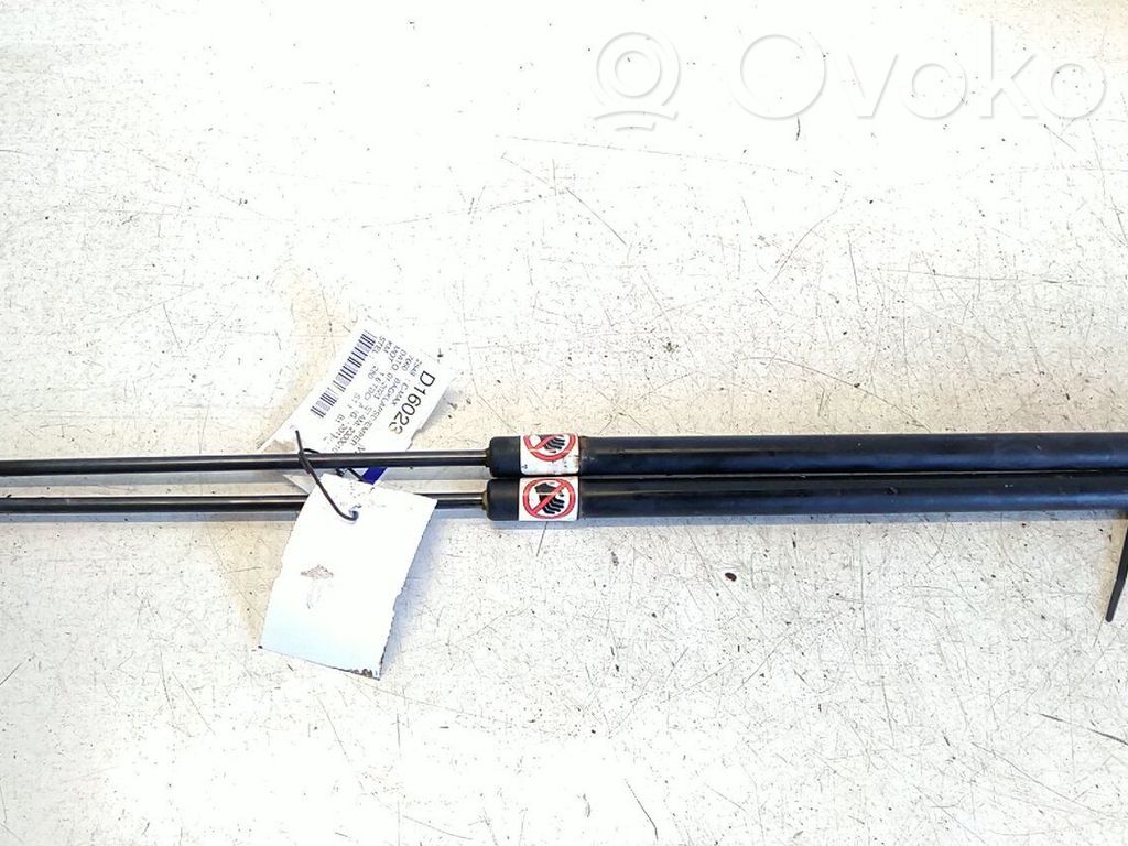 Ford C-MAX II Tailgate/trunk strut/damper 