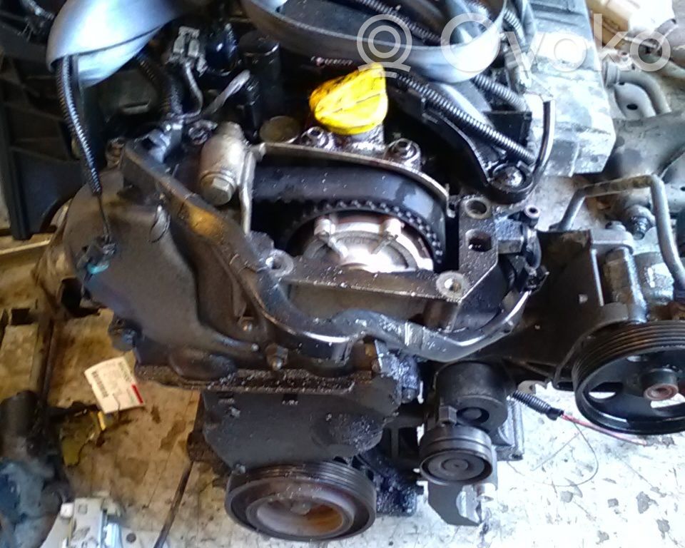 Motor